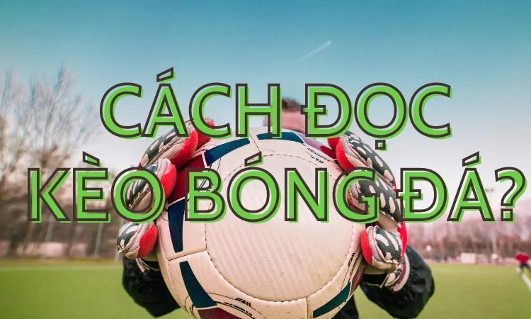 Bật Mí Các Ký Hiệu Trong Kèo Bóng Đá Mà Bạn Chưa Biết 2 Bật Mí Các Ký Hiệu Trong Kèo Bóng Đá Mà Bạn Chưa Biết