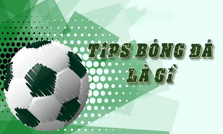 Tip Bóng Đá Miễn Phí: Nguồn Thông Tin Vàng Cho Người Yêu Môn Thể Thao Vua 1 Tip Bóng Đá Miễn Phí: Nguồn Thông Tin Vàng Cho Người Yêu Môn Thể Thao Vua