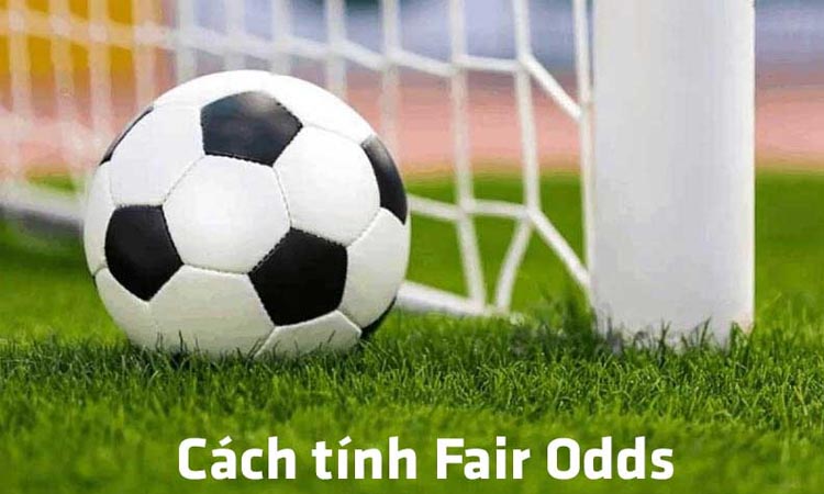 Hướng Dẫn Cách Tính Kèo Fair Odds Cực Kỳ Chi Tiết Cho Người Mới Bắt Đầu 1 Hướng Dẫn Cách Tính Kèo Fair Odds Cực Kỳ Chi Tiết Cho Người Mới Bắt Đầu