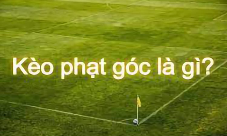 Bí Quyết Soi Kèo Phạt Góc Cho Người Chơi Mới 1 Bí Quyết Soi Kèo Phạt Góc Cho Người Chơi Mới