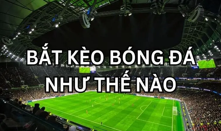 Bắt kèo bóng đá như thế nào - Chọn nhà cái tỷ lệ tốt Bắt kèo bóng đá như thế nào - Chọn nhà cái tỷ lệ tốt