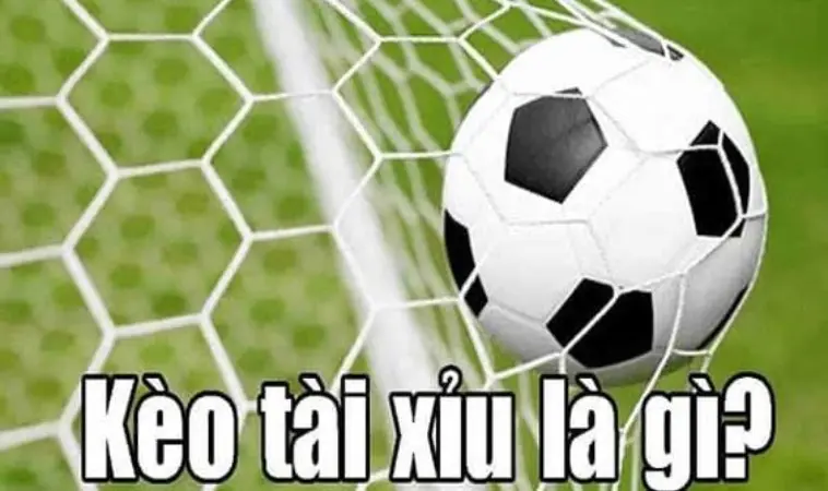 Cá độ bóng đá Tài Xỉu là gì? Cá độ bóng đá Tài Xỉu là gì?