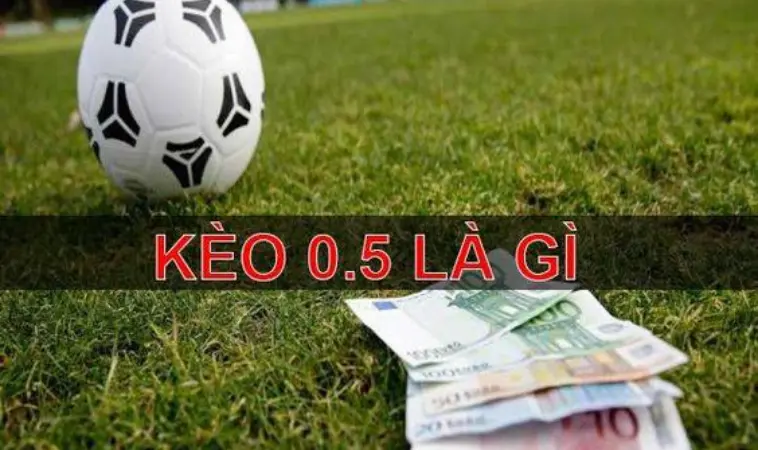 Kèo 0.5 là gì? Tỉ lệ ăn kèo 0.5 bao nhiêu? Kèo 0.5 là gì? Tỉ lệ ăn kèo 0.5 bao nhiêu?