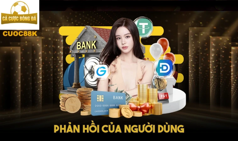 Các Vấn Đề Của Vb77: Lừa Đảo Và Phản Hồi Của Khách Hàng 2 Phản hồi của người dùng